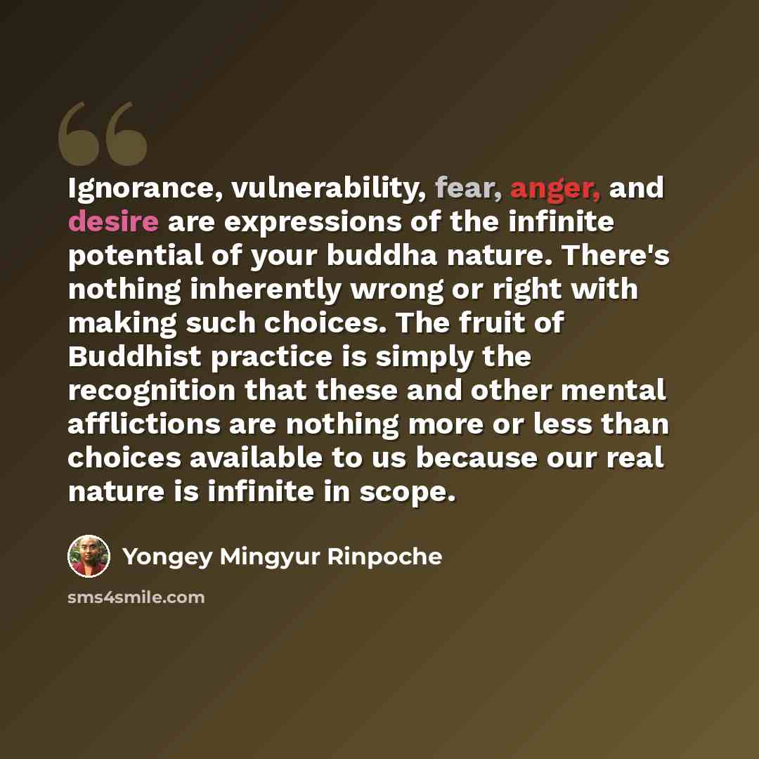 “Ignorance, vulnerability, fear, anger, and desire are expressions of the infinite potential of your buddha nature. There's nothing inherently wrong or right with making such choices. The fruit of Buddhist practice is simply the recognition that these and other mental afflictions are nothing more…” quote by Yongey Mingyur Rinpoche