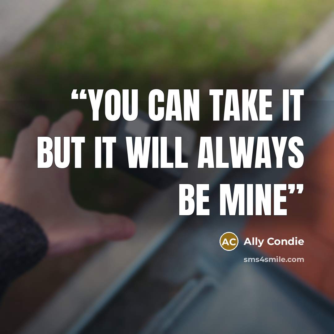 “You can take it but it will always be mine” quote by Ally Condie