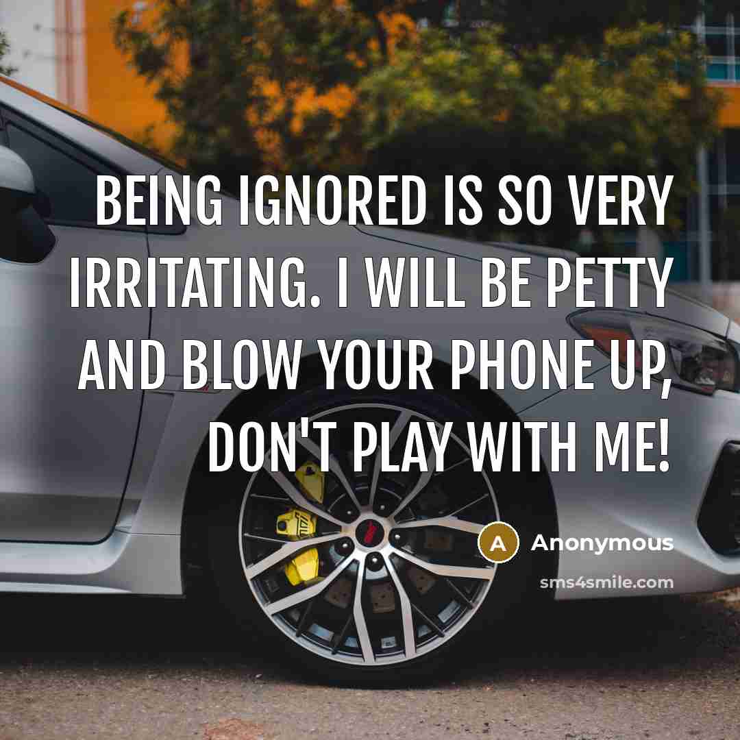 “Being ignored is so very irritating. I will be petty and blow your phone up, don't play with me!” quote by Anonymous