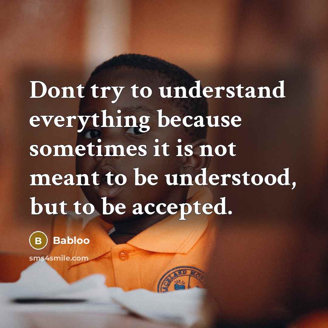 “Dont try to understand everything because sometimes it is not meant to be understood, but to be accepted.” quote by Babloo
