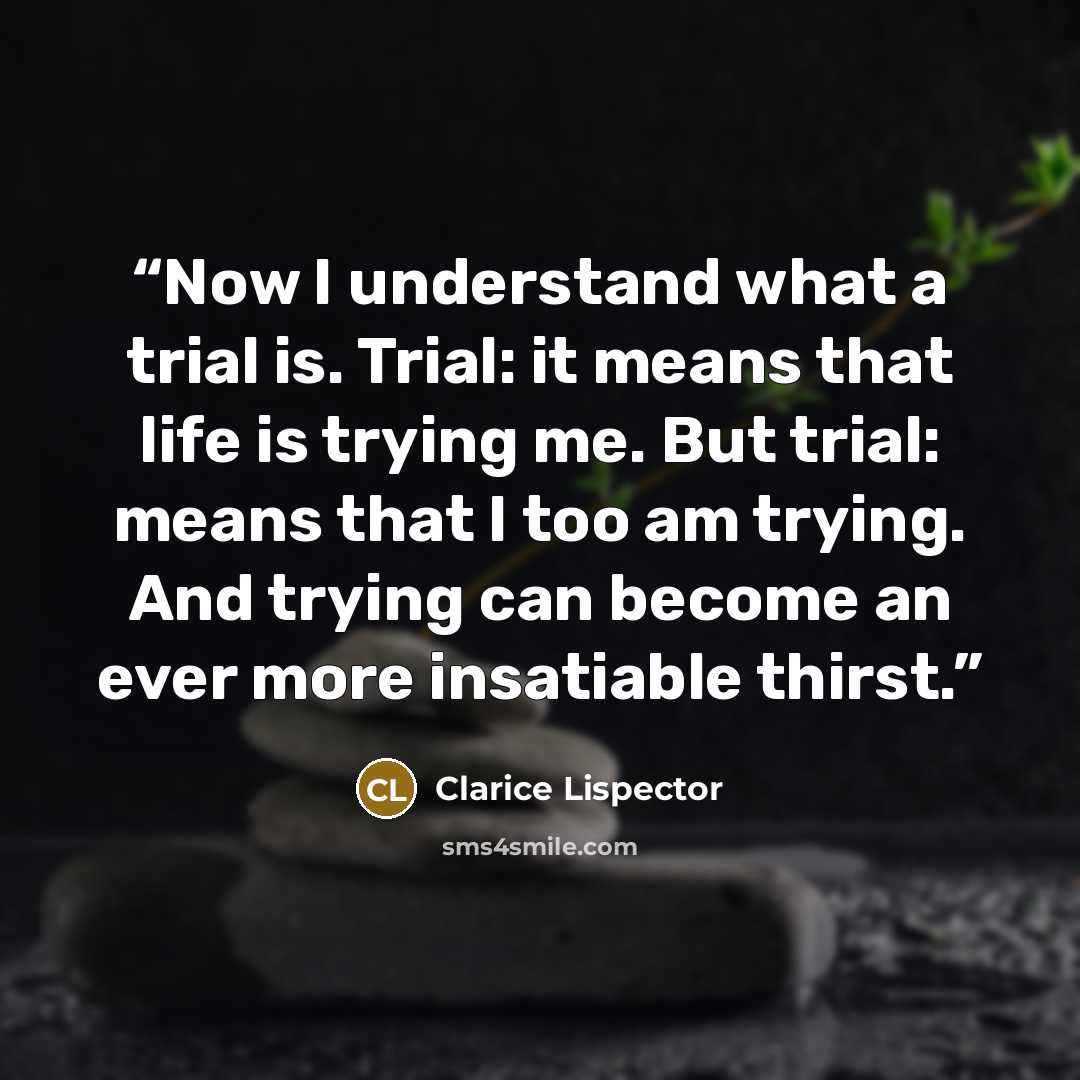 “Now I understand what a trial is. Trial: it means that life is trying me. But trial: means that I too am trying. And trying can become an ever more insatiable thirst.” quote by Clarice Lispector