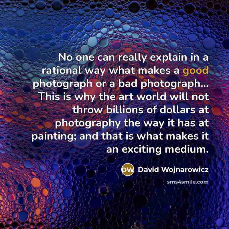 “No one can really explain in a rational way what makes a good photograph or a bad photograph... This is why the art world will not throw billions of dollars at photography the way it has at painting; and that is what makes it an exciting medium.” quote by David Wojnarowicz