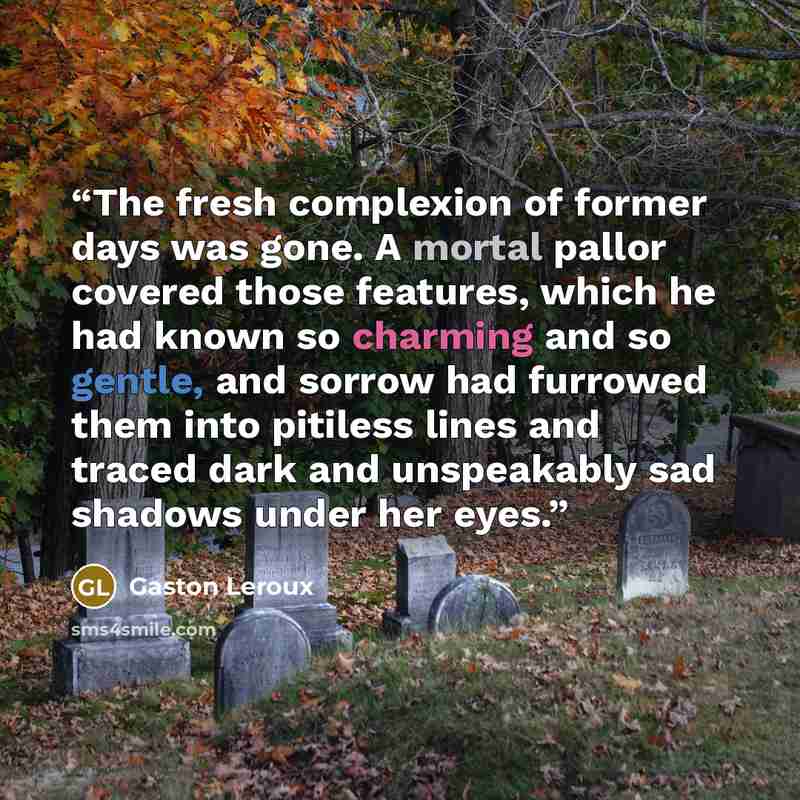 “The fresh complexion of former days was gone. A mortal pallor covered those features, which he had known so charming and so gentle, and sorrow had furrowed them into pitiless lines and traced dark and unspeakably sad shadows under her eyes.” quote by Gaston Leroux