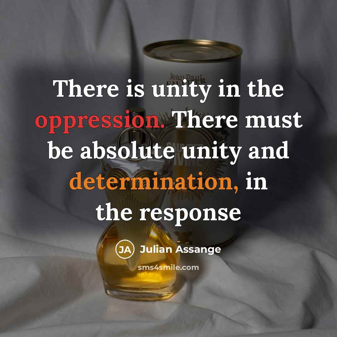 “There is unity in the oppression. There must be absolute unity and determination, in the response” quote by Julian Assange