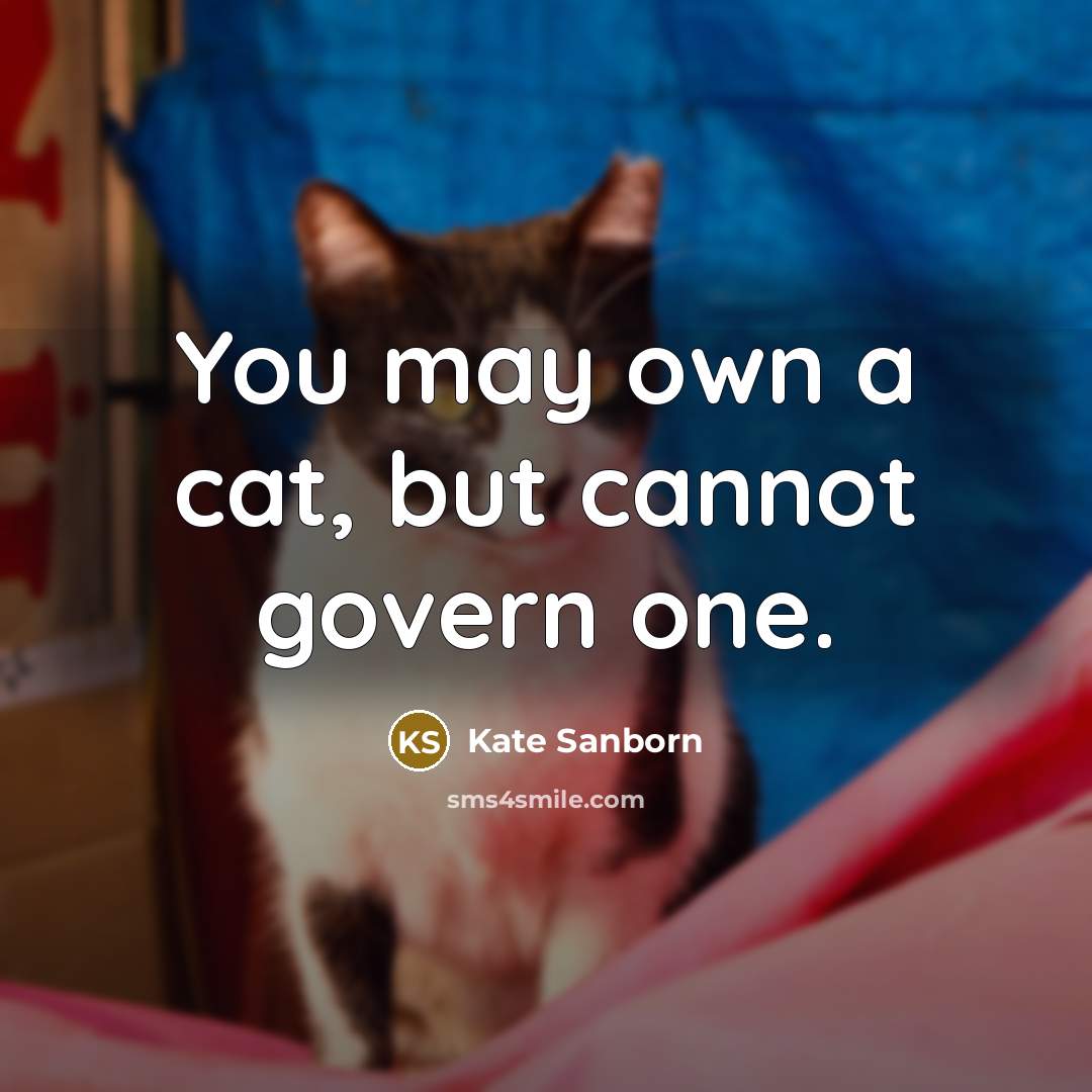 “You may own a cat, but cannot govern one.” quote by Kate Sanborn