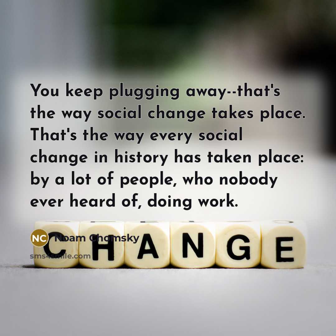 “You keep plugging away--that's the way social change takes place. That's the way every social change in history has taken place: by a lot of people, who nobody ever heard of, doing work.” quote by Noam Chomsky