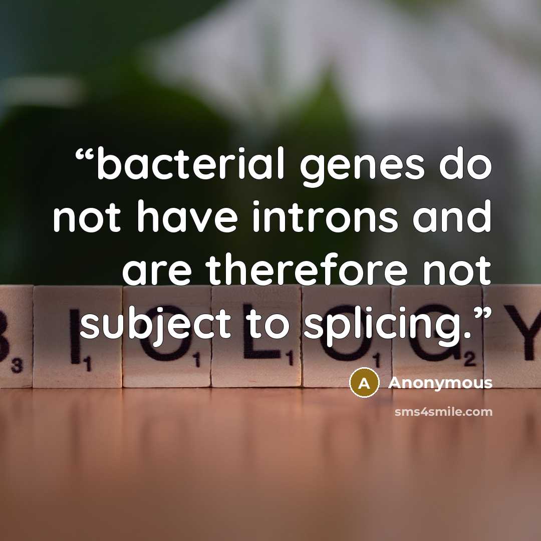 “bacterial genes do not have introns and are therefore not subject to splicing.” quote by Anonymous