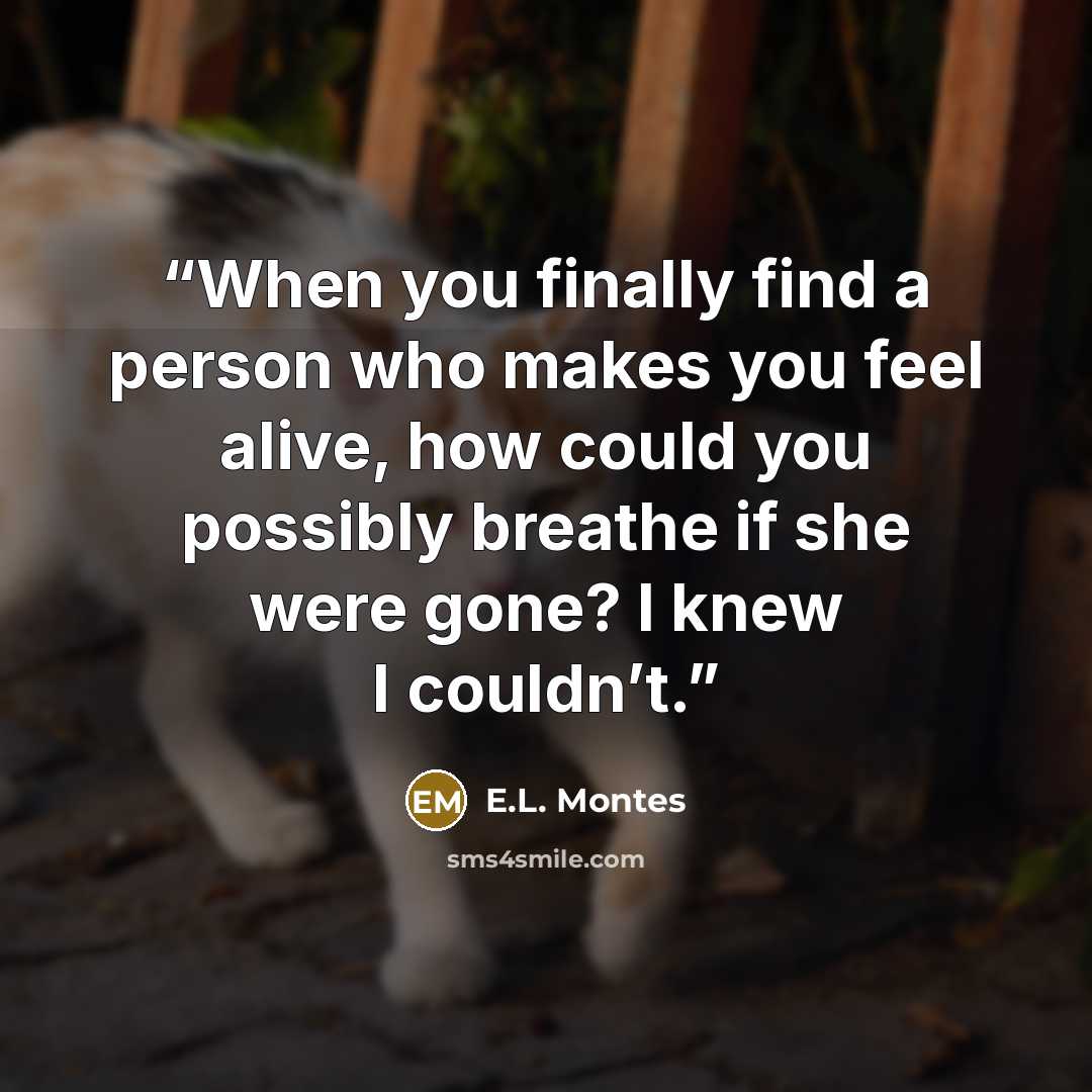 “When you finally find a person who makes you feel alive, how could you possibly breathe if she were gone? I knew I couldn’t.” quote by E.L. Montes