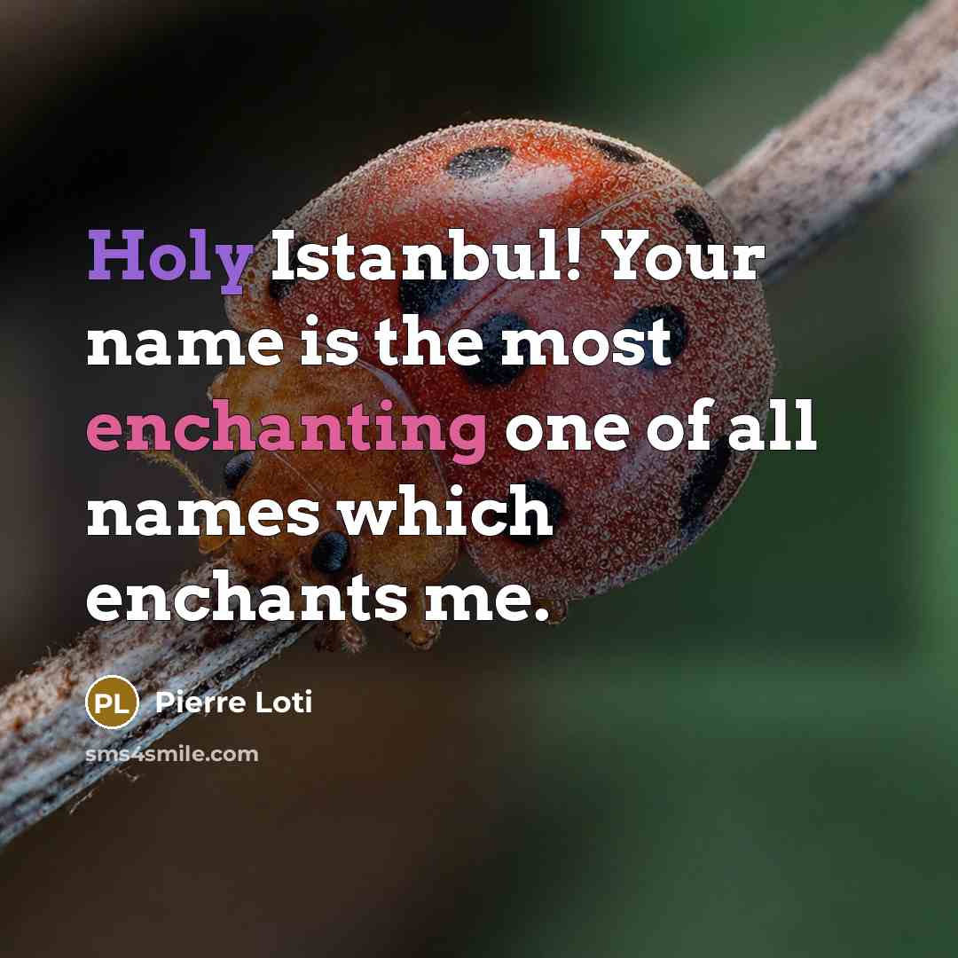 “Holy Istanbul! Your name is the most enchanting one of all names which enchants me.” quote by Pierre Loti
