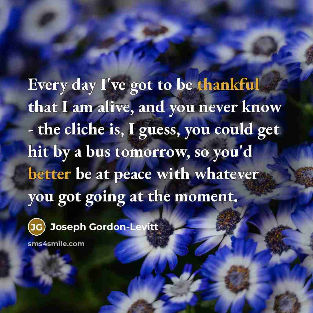 “Every day I've got to be thankful that I am alive, and you never know - the cliche is, I guess, you could get hit by a bus tomorrow, so you'd better be at peace with whatever you got going at the moment.” quote by Joseph Gordon-Levitt