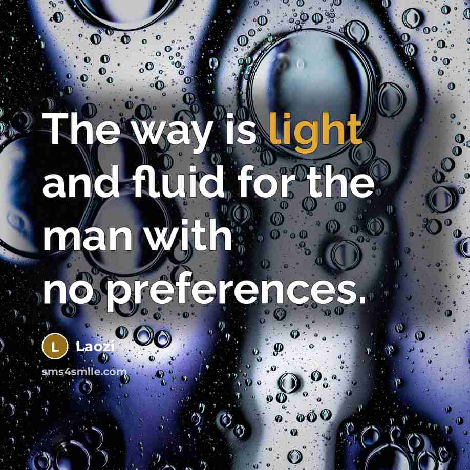 “The way is light and fluid for the man with no preferences.” quote by Laozi