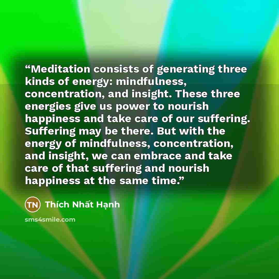 “Meditation consists of generating three kinds of energy: mindfulness, concentration, and insight. These three energies give us power to nourish happiness and take care of our suffering. Suffering may be there. But with the energy of mindfulness, concentration, and insight, we can embrace and take…” quote by Thich Nhat Hanh