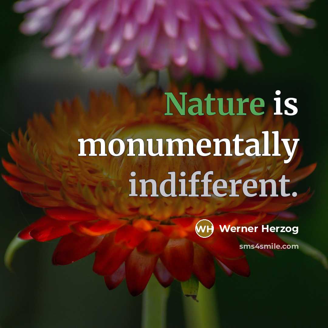 “Nature is monumentally indifferent.” quote by Werner Herzog