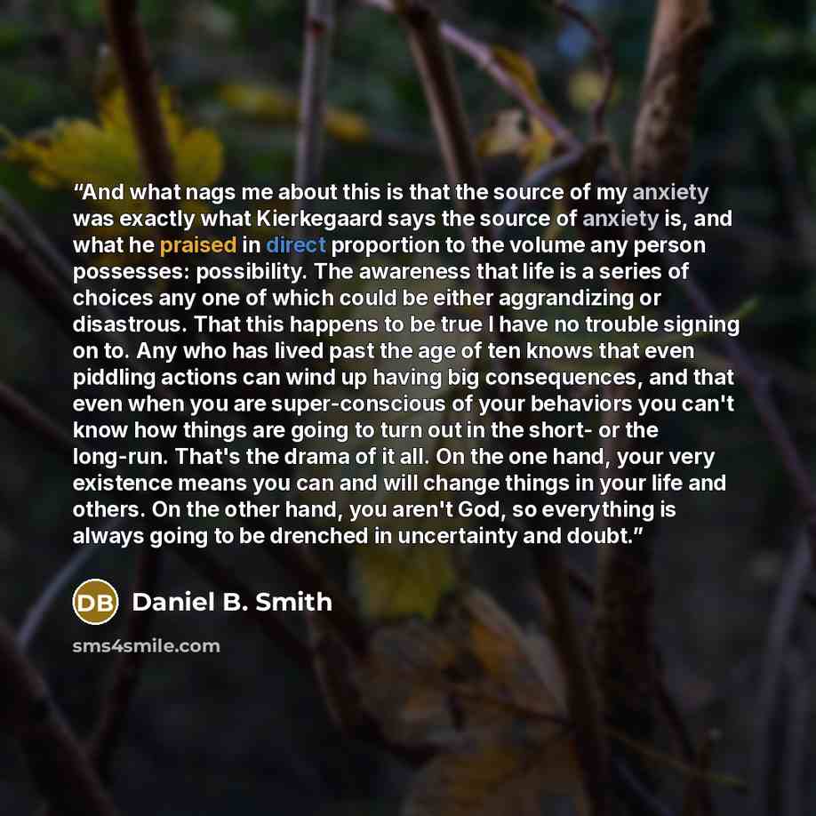 “And what nags me about this is that the source of my anxiety was exactly what Kierkegaard says the source of anxiety is, and what he praised in direct proportion to the volume any person possesses: possibility. The awareness that life is a series of choices any one of which could be either…” quote by Daniel B. Smith