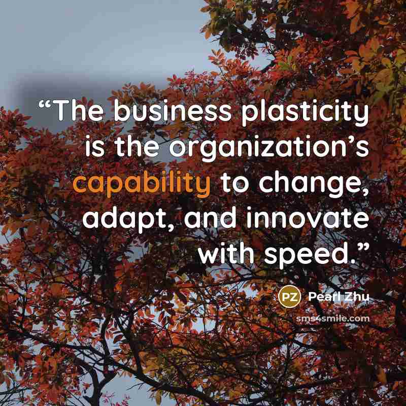 “The business plasticity is the organization’s capability to change, adapt, and innovate with speed.” quote by Pearl Zhu