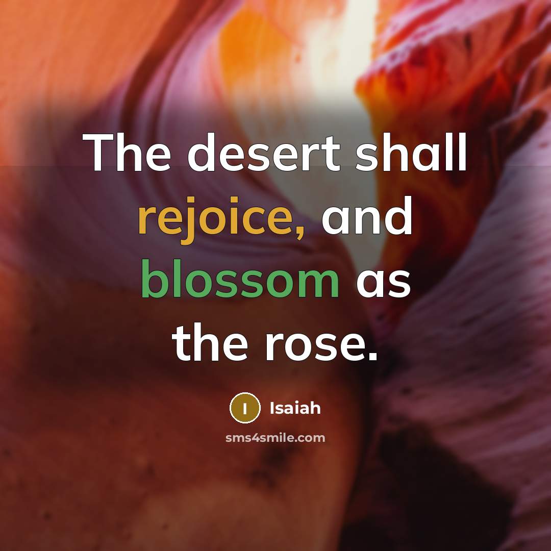 “The desert shall rejoice, and blossom as the rose.” quote by Isaiah