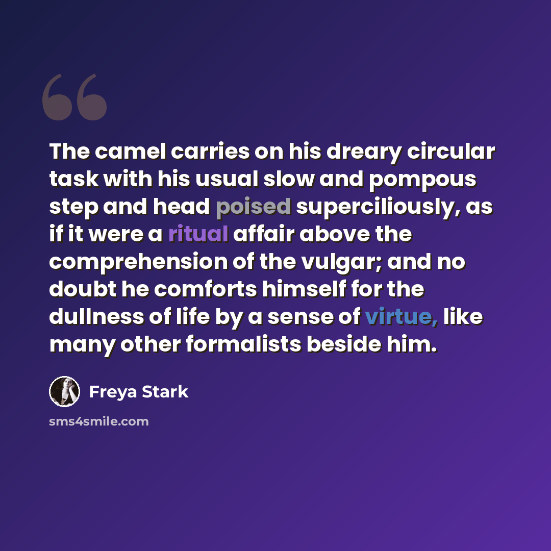 “The camel carries on his dreary circular task with his usual slow and pompous step and head poised superciliously, as if it were a ritual affair above the comprehension of the vulgar; and no doubt he comforts himself for the dullness of life by a sense of virtue, like many other formalists beside…” quote by Freya Stark