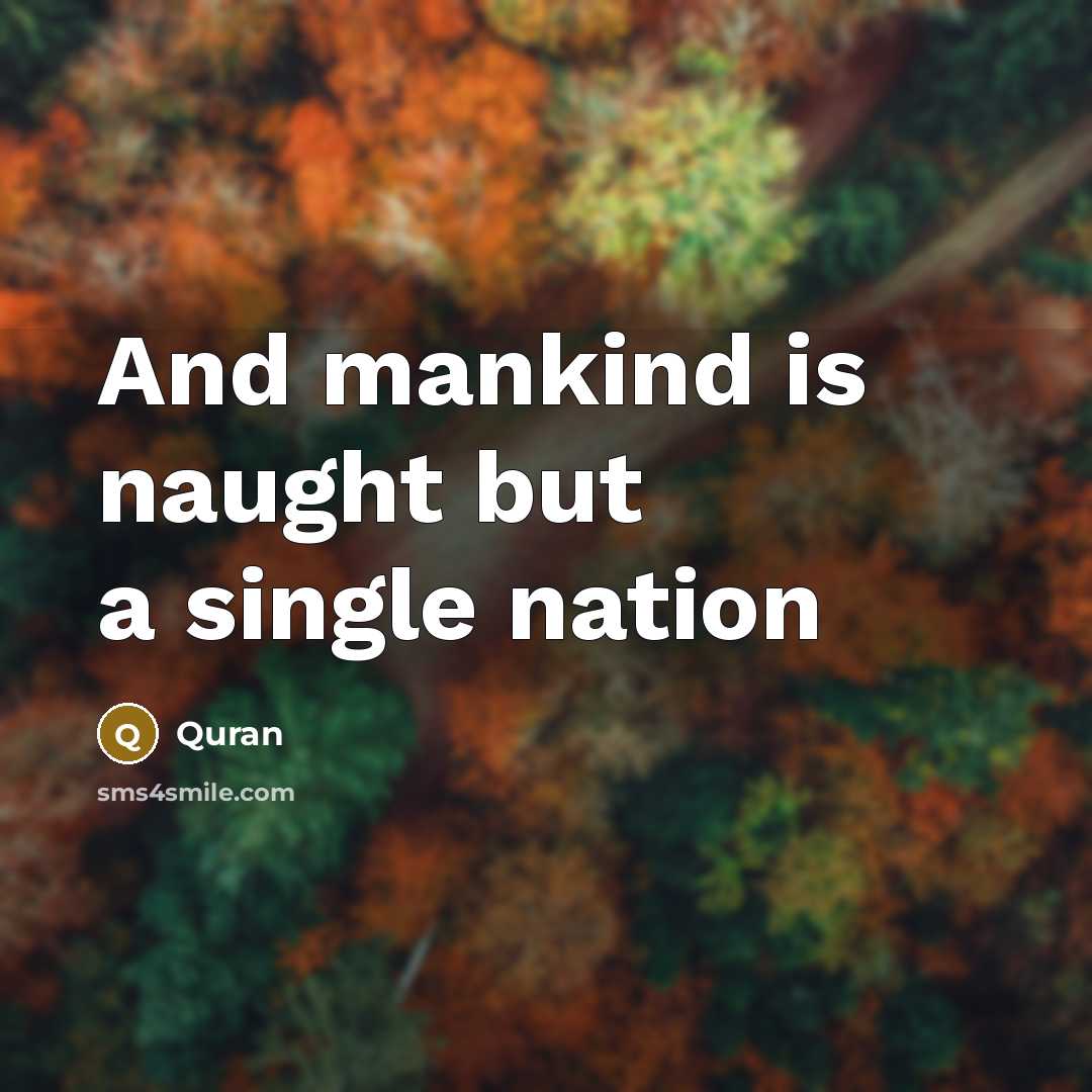 “And mankind is naught but a single nation” quote by Quran