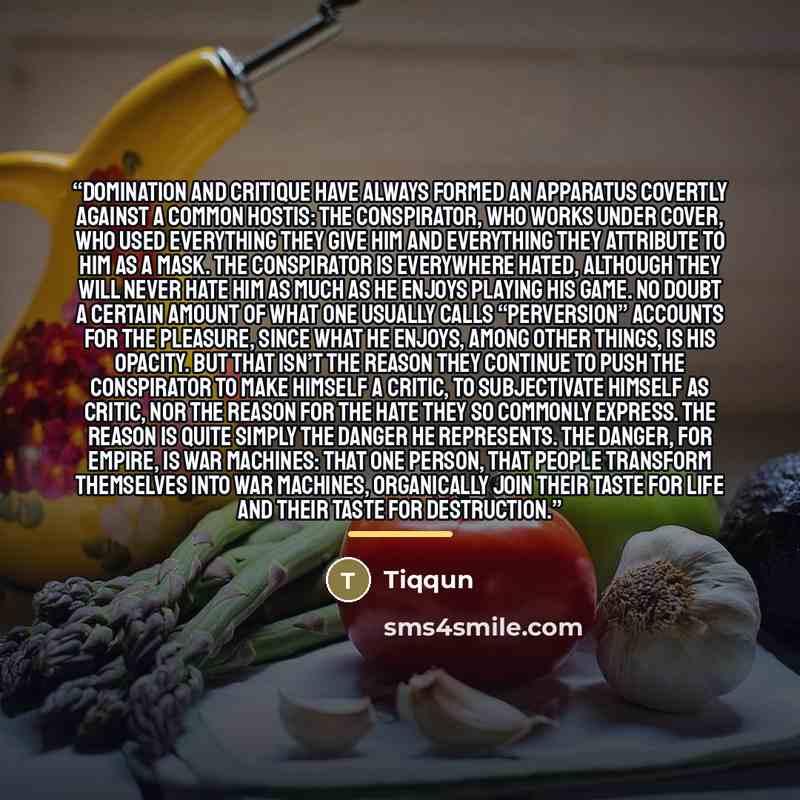 “Domination and critique have always formed an apparatus covertly against a common hostis: the conspirator, who works under cover, who used everything THEY give him and everything THEY attribute to him as a mask. The conspirator is everywhere hated, although THEY will never hate him as much as he…” quote by Tiqqun