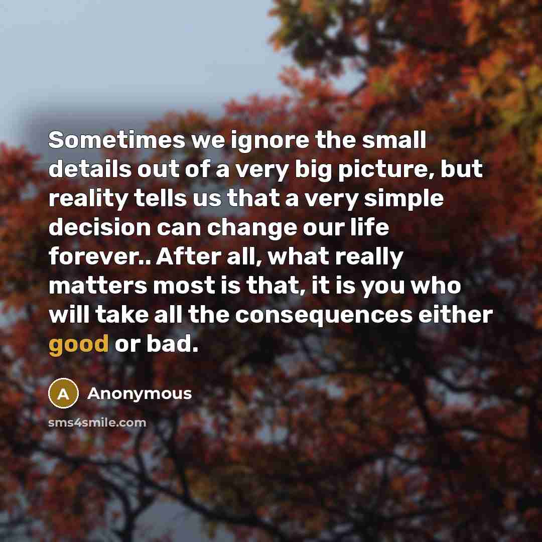 “Sometimes we ignore the small details out of a very big picture, but reality tells us that a very simple decision can change our life forever.. After all, what really matters most is that, it is you who will take all the consequences either good or bad.” quote by Anonymous