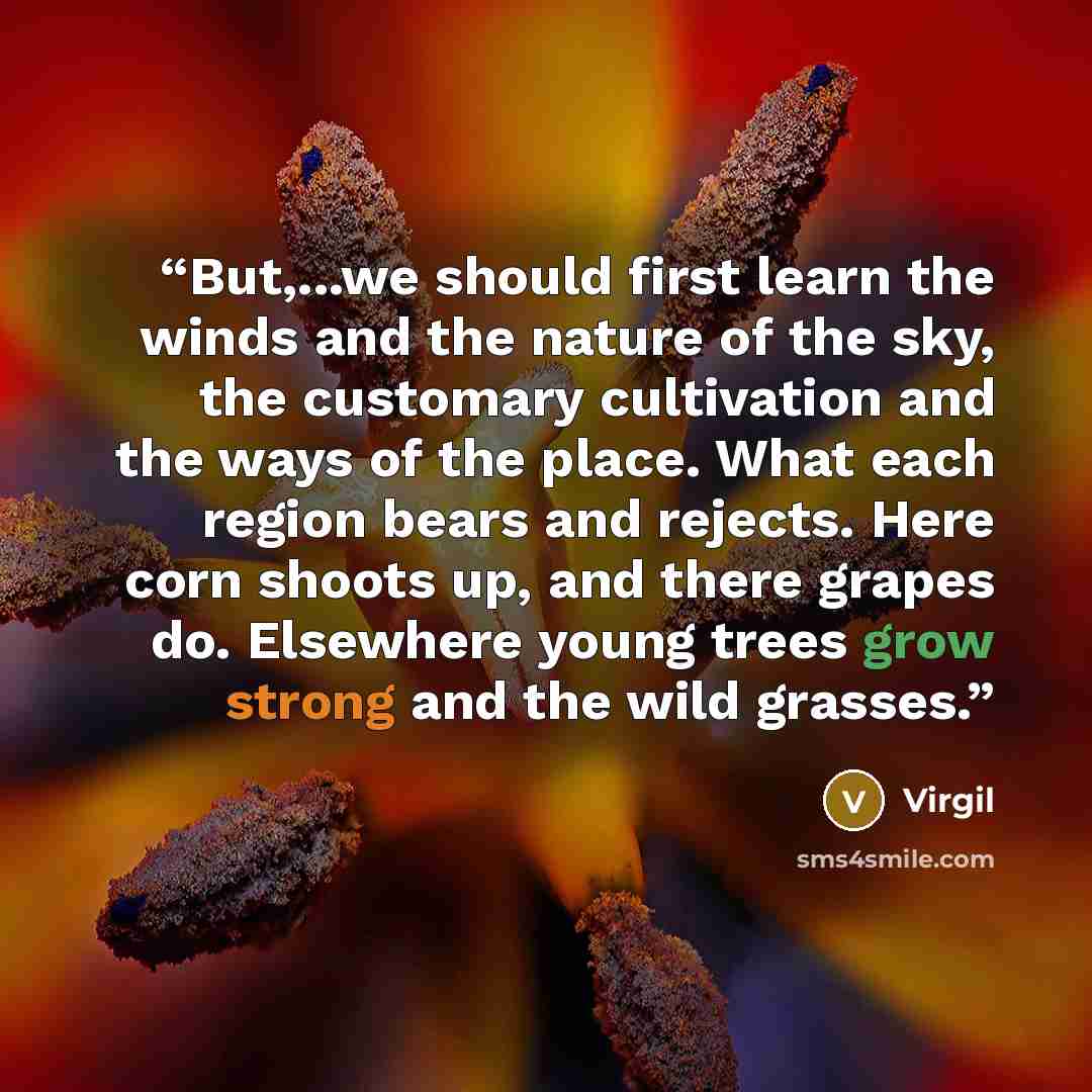 “But,...we should first learn the winds and the nature of the sky, the customary cultivation and the ways of the place. What each region bears and rejects. Here corn shoots up, and there grapes do. Elsewhere young trees grow strong and the wild grasses.” quote by Virgil