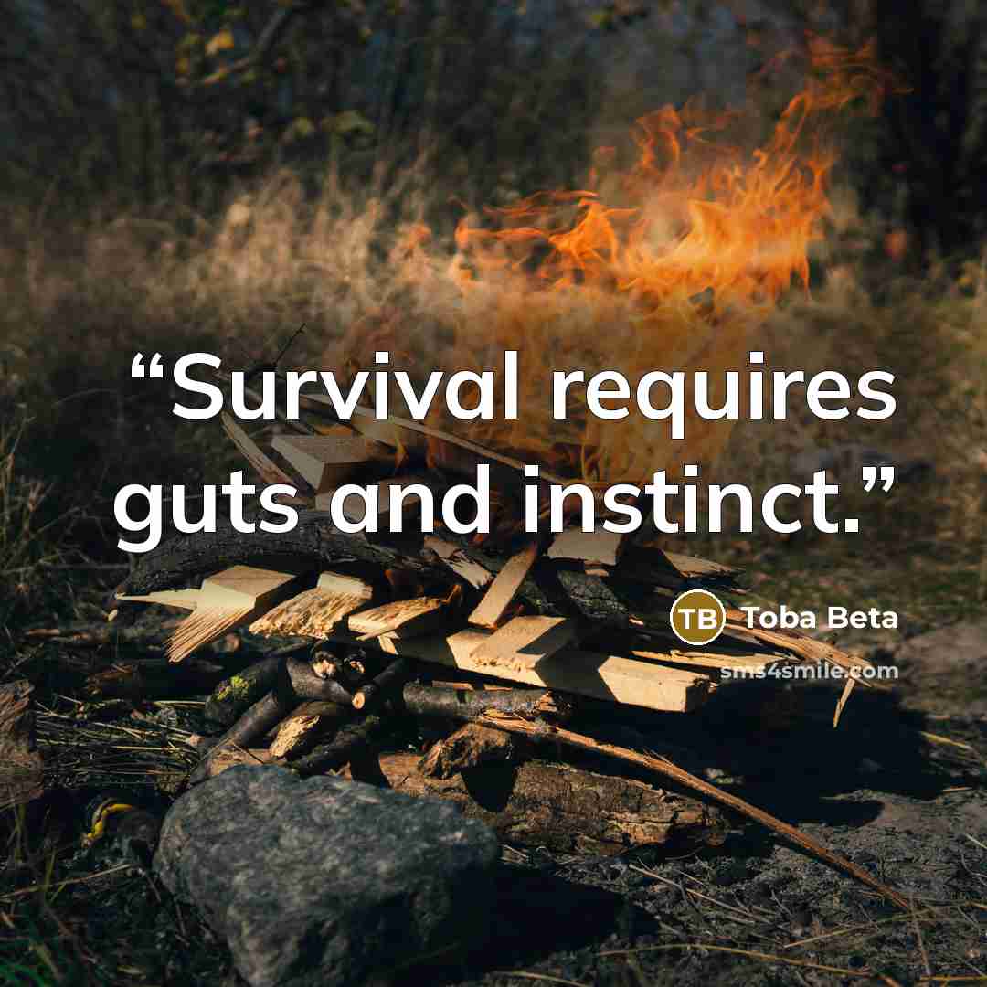 “Survival requires guts and instinct.” quote by Toba Beta