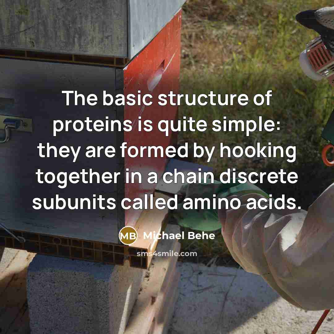 “The basic structure of proteins is quite simple: they are formed by hooking together in a chain discrete subunits called amino acids.” quote by Michael Behe