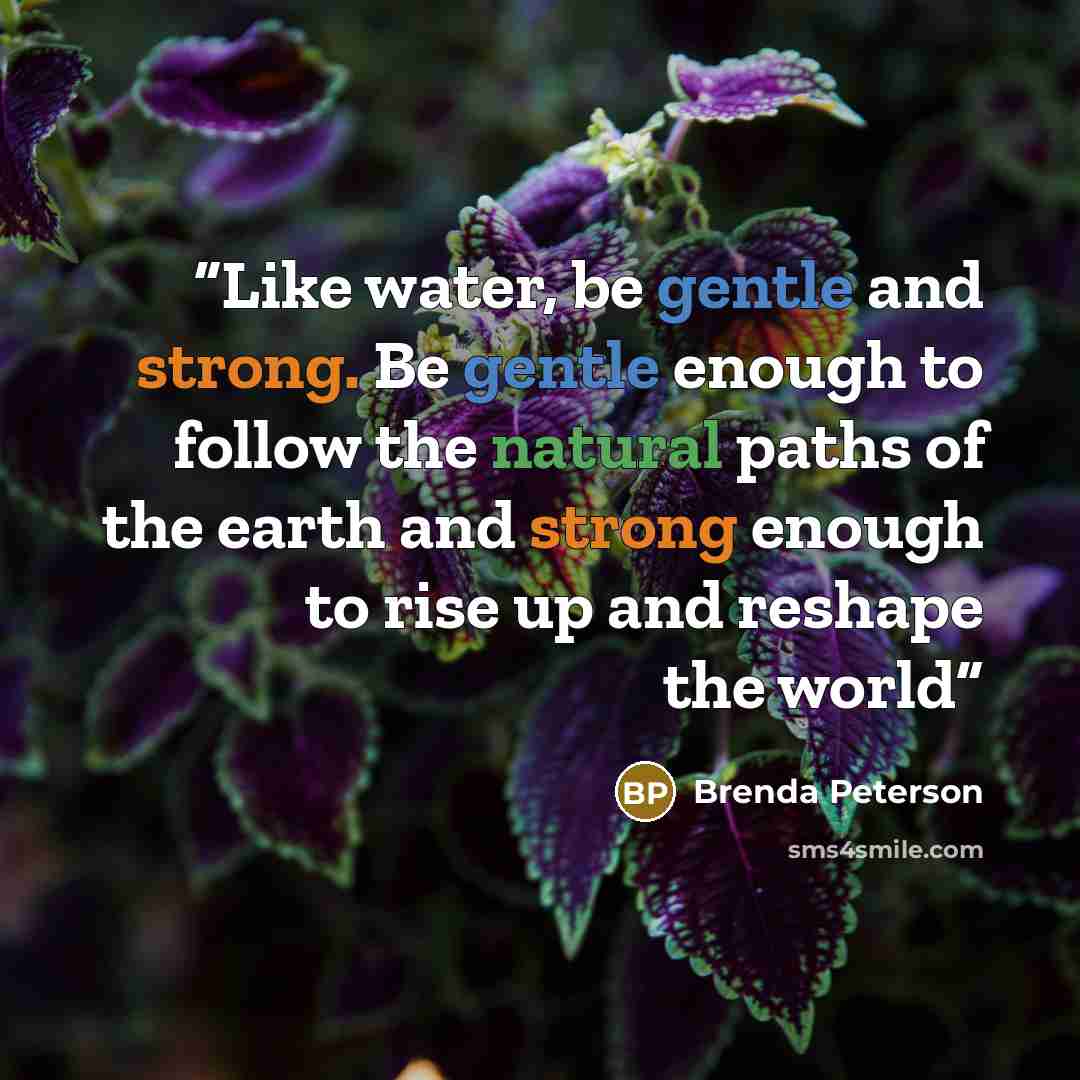 “Like water, be gentle and strong. Be gentle enough to follow the natural paths of the earth and strong enough to rise up and reshape the world” quote by Brenda Peterson