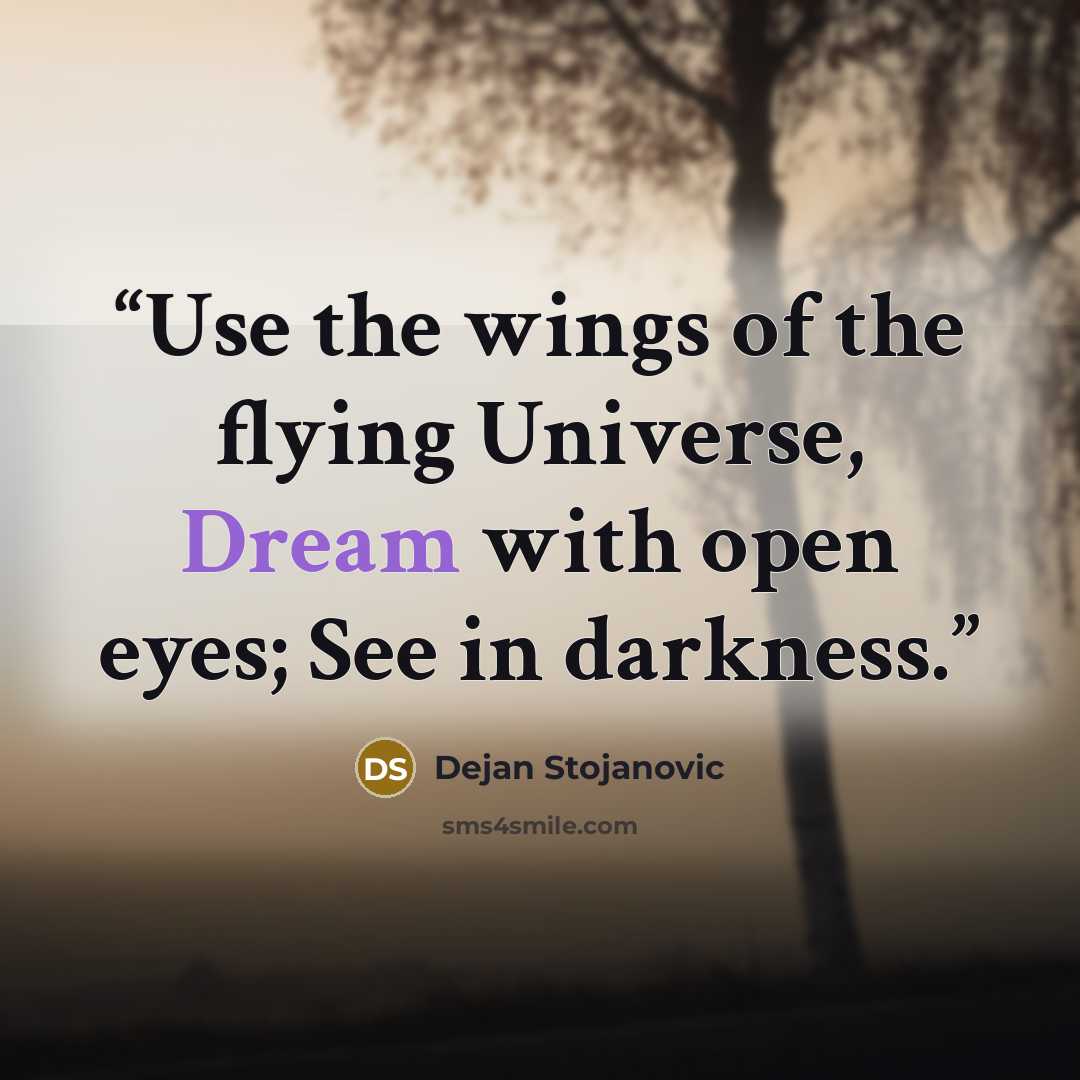 “Use the wings of the flying Universe, Dream with open eyes; See in darkness.” quote by Dejan Stojanovic