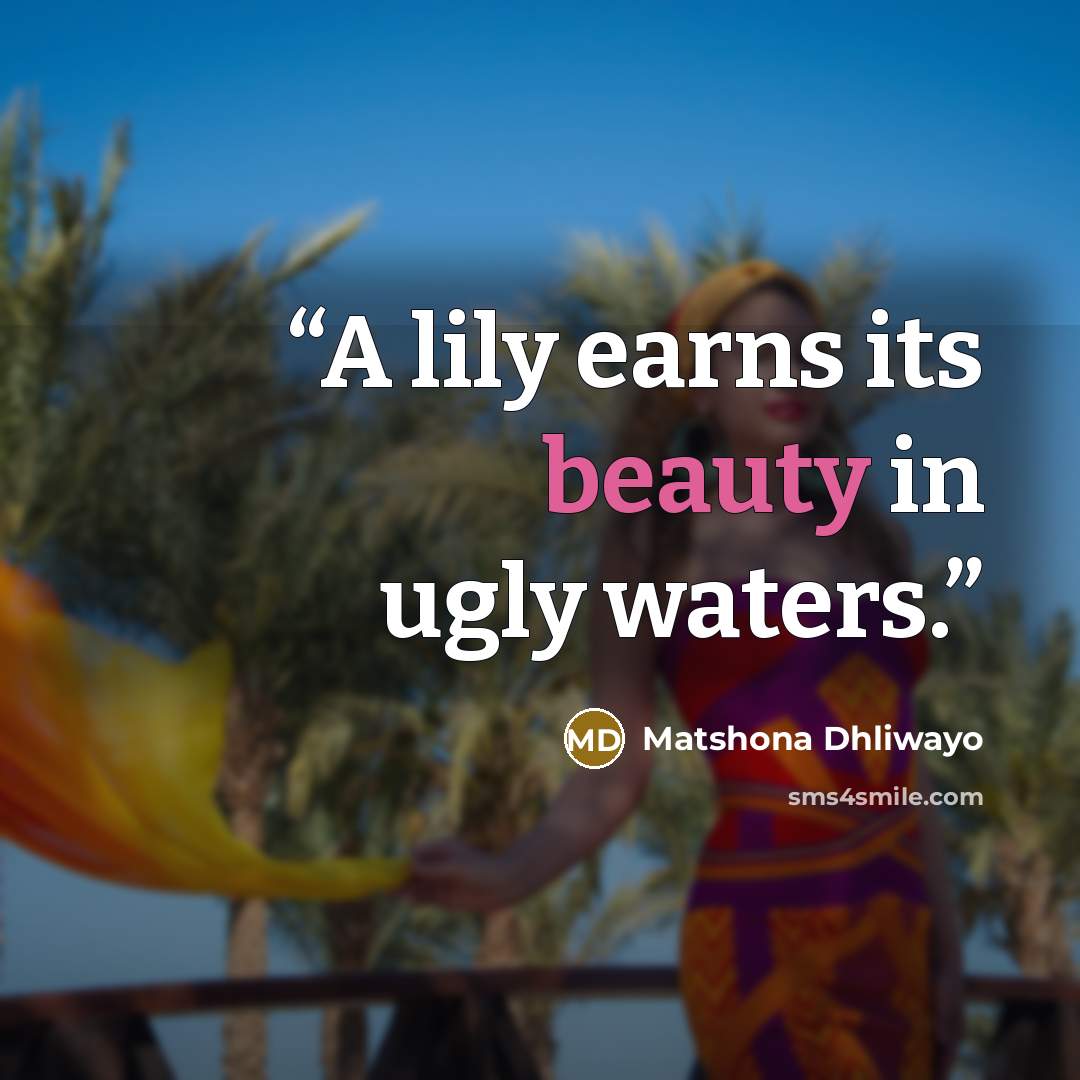 “A lily earns its beauty in ugly waters.” quote by Matshona Dhliwayo