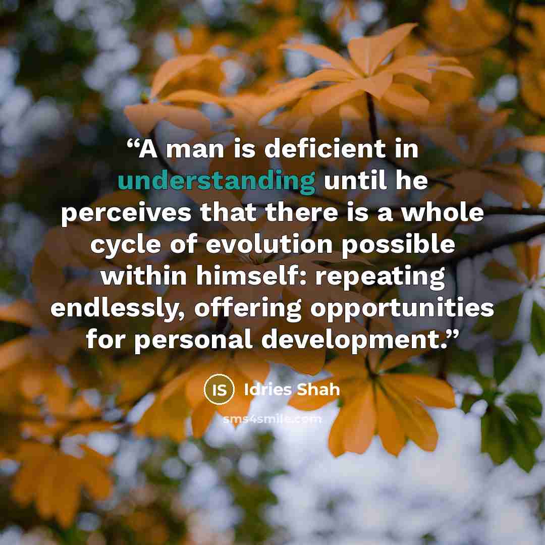 “A man is deficient in understanding until he perceives that there is a whole cycle of evolution possible within himself: repeating endlessly, offering opportunities for personal development.” quote by Idries Shah