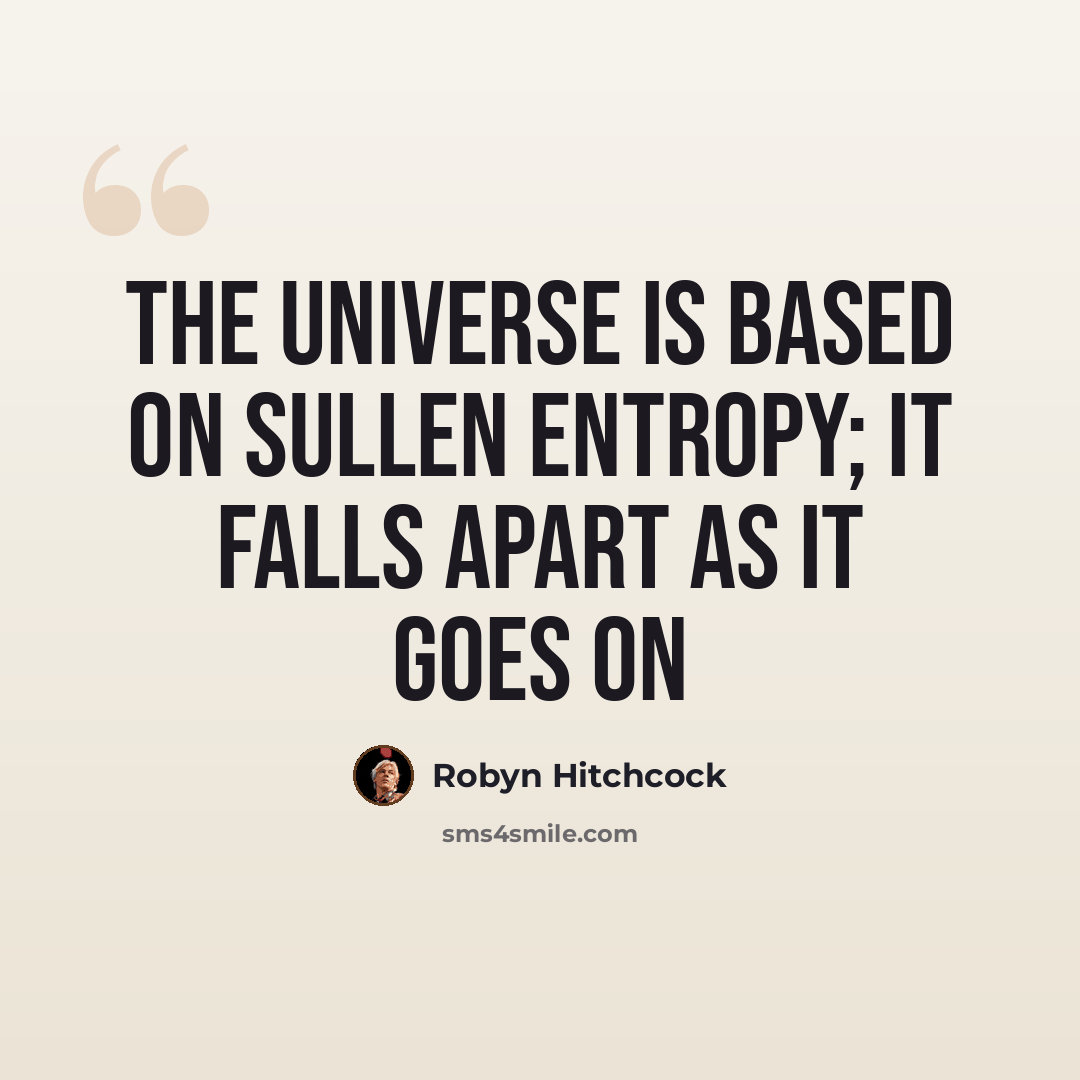 “The universe is based on sullen entropy; It falls apart as it goes on” quote by Robyn Hitchcock