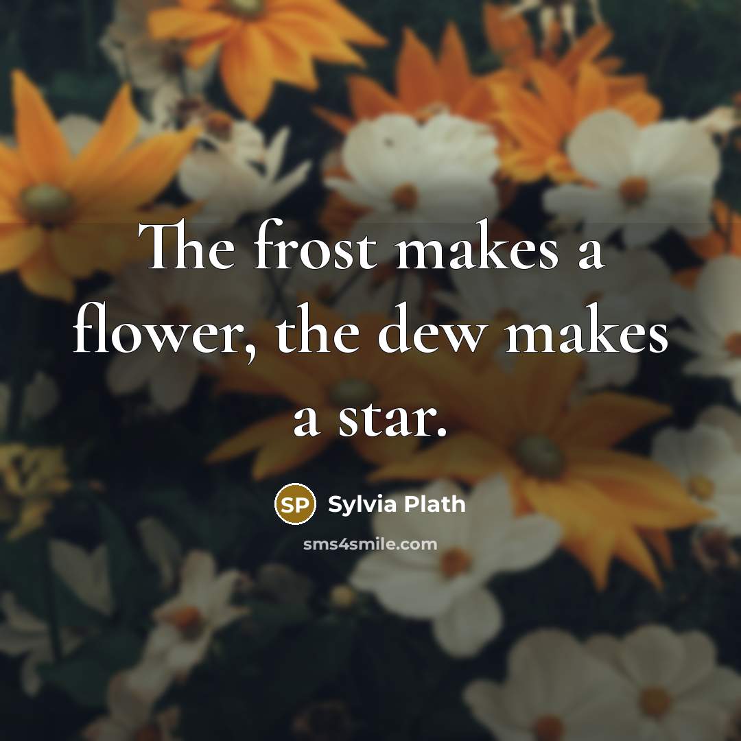 “The frost makes a flower, the dew makes a star.” quote by Sylvia Plath