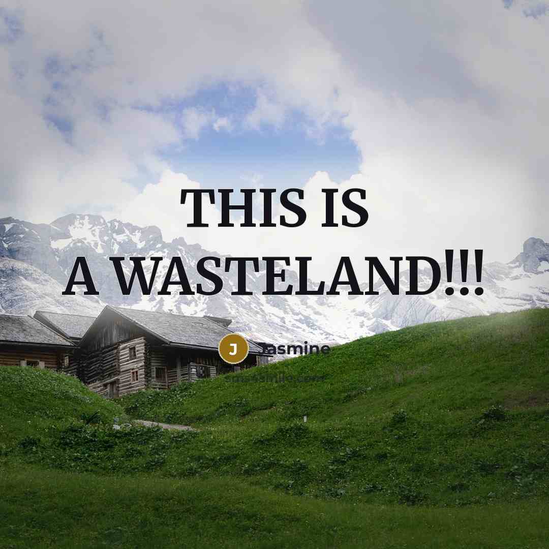 “THIS IS A WASTELAND!!!” quote by Jasmine