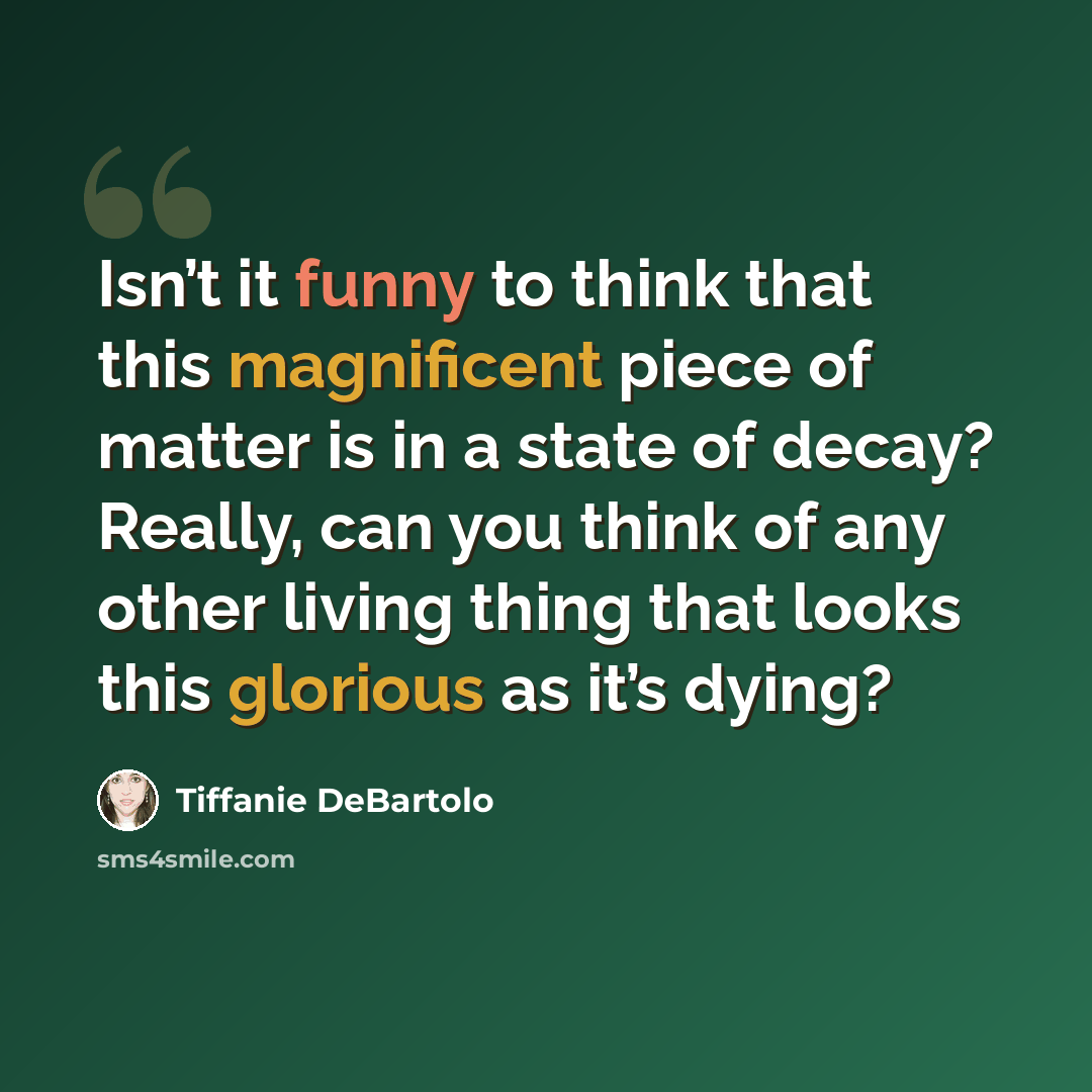 “Isn’t it funny to think that this magnificent piece of matter is in a state of decay? Really, can you think of any other living thing that looks this glorious as it’s dying?” quote by Tiffanie DeBartolo