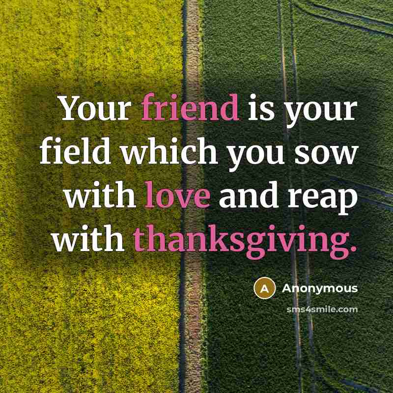 “Your friend is your field which you sow with love and reap with thanksgiving.” quote by Anonymous