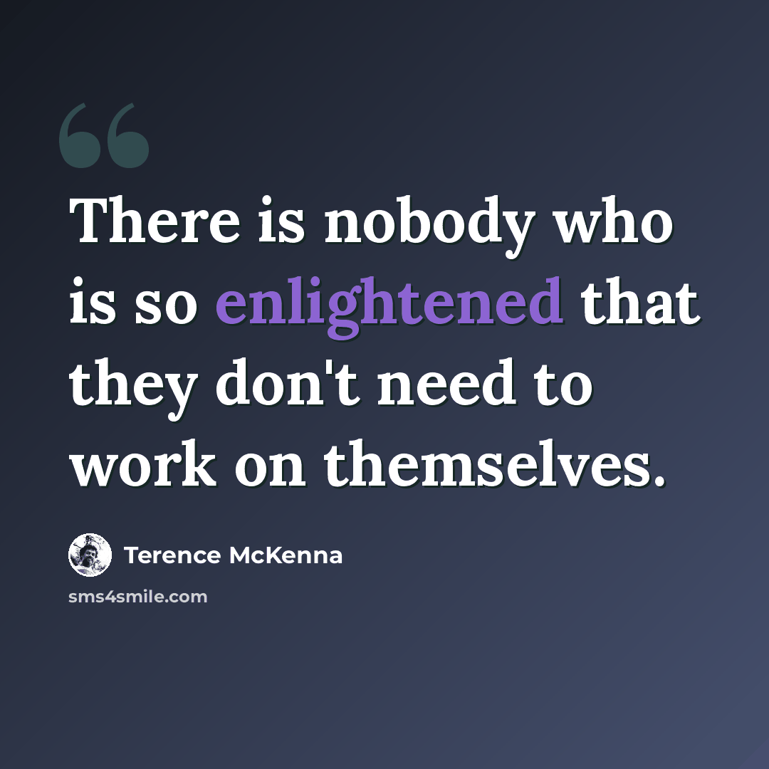 “There is nobody who is so enlightened that they don't need to work on themselves.” quote by Terence McKenna