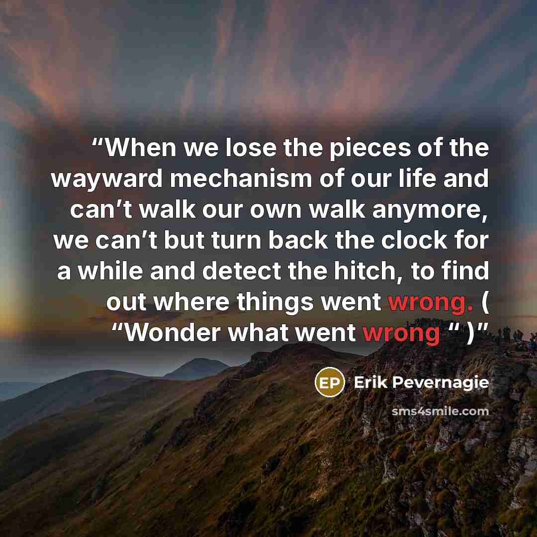 “When we lose the pieces of the wayward mechanism of our life and can’t walk our own walk anymore, we can’t but turn back the clock for a while and detect the hitch, to find out where things went wrong. ( “Wonder what went wrong “ )” quote by Erik Pevernagie