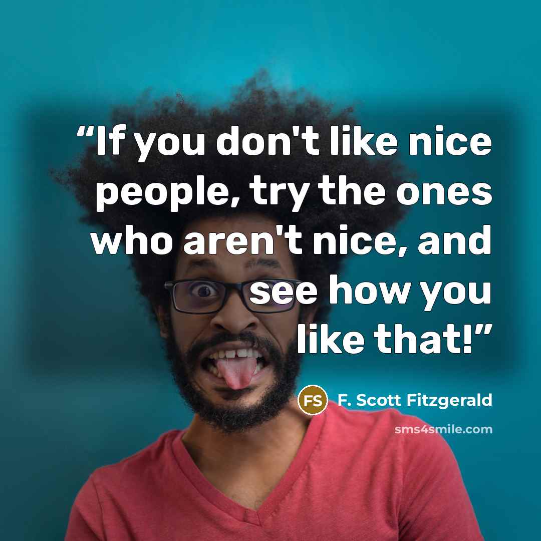 “If you don't like nice people, try the ones who aren't nice, and see how you like that!” quote by F. Scott Fitzgerald