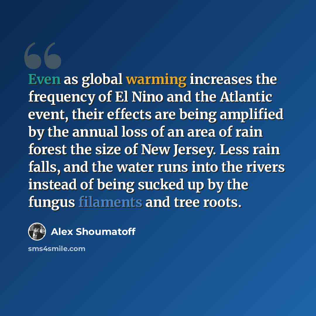 “Even as global warming increases the frequency of El Nino and the Atlantic event, their effects are being amplified by the annual loss of an area of rain forest the size of New Jersey. Less rain falls, and the water runs into the rivers instead of being sucked up by the fungus filaments and tree…” quote by Alex Shoumatoff