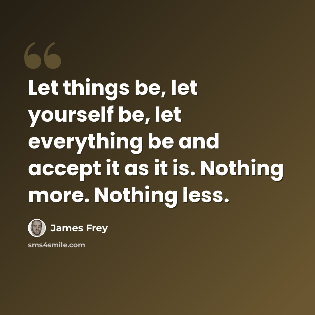 “Let things be, let yourself be, let everything be and accept it as it is. Nothing more. Nothing less.” quote by James Frey