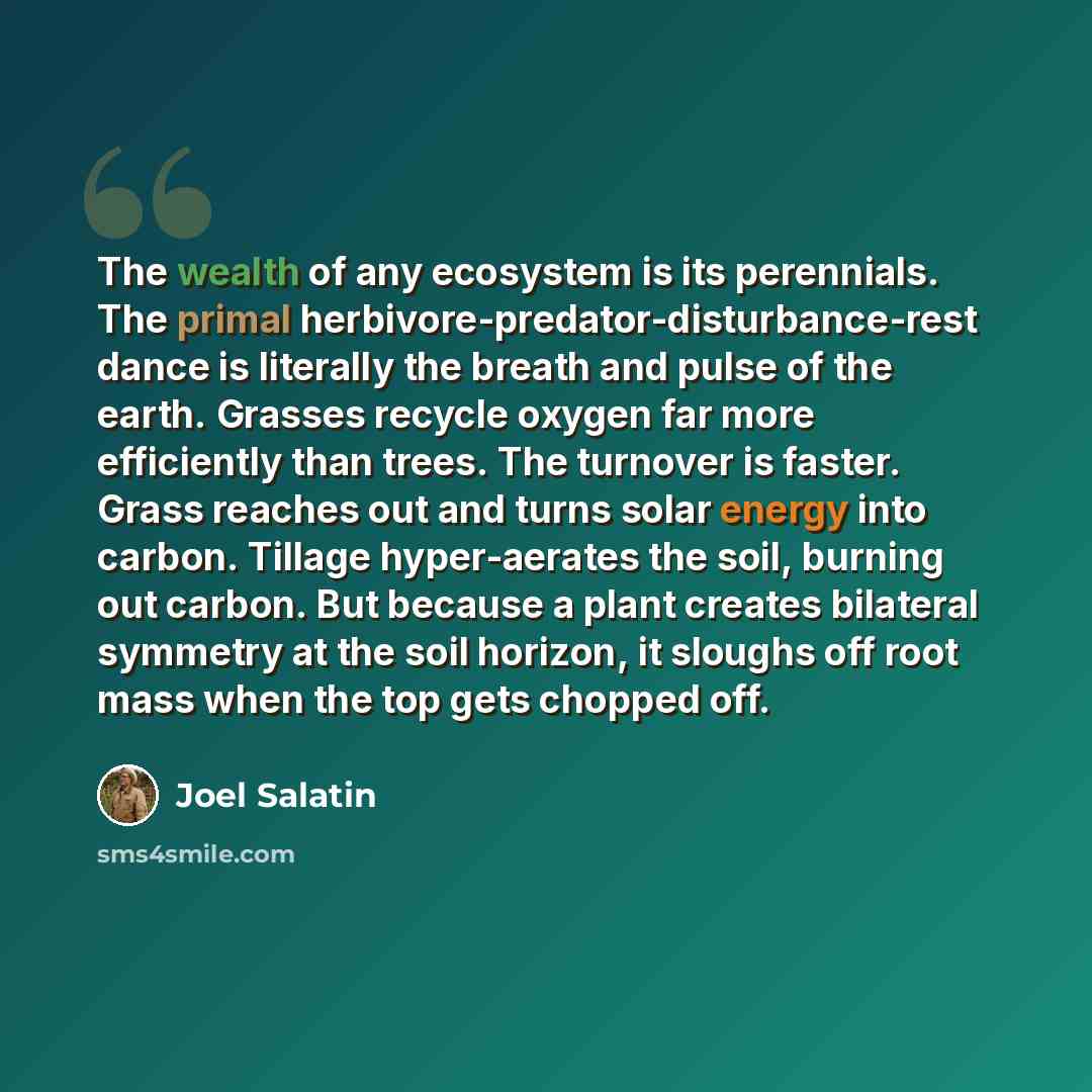 “The wealth of any ecosystem is its perennials. The primal herbivore-predator-disturbance-rest dance is literally the breath and pulse of the earth. Grasses recycle oxygen far more efficiently than trees. The turnover is faster. Grass reaches out and turns solar energy into carbon. Tillage…” quote by Joel Salatin