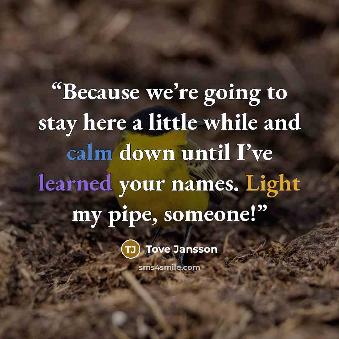 “Because we’re going to stay here a little while and calm down until I’ve learned your names. Light my pipe, someone!” quote by Tove Jansson