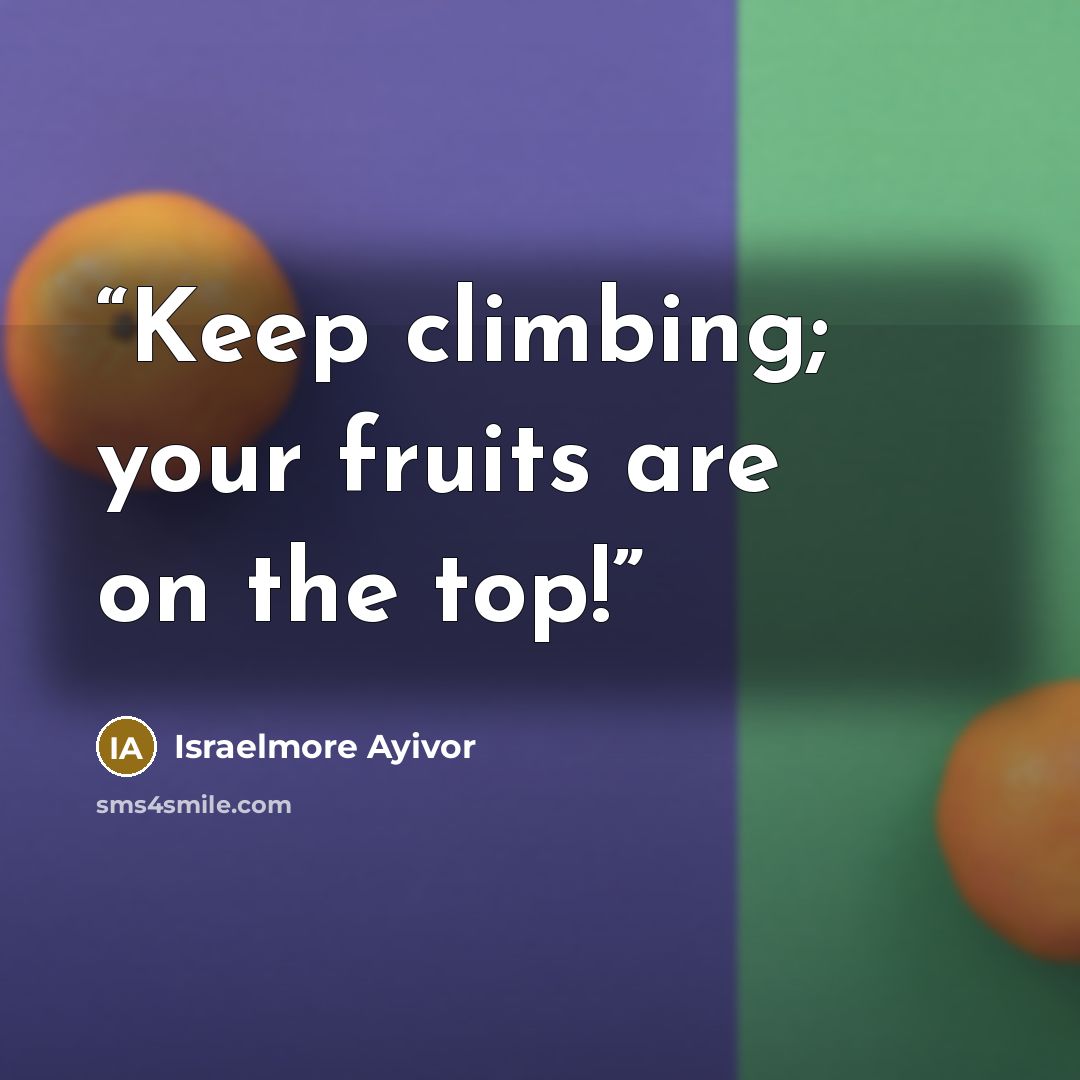 “Keep climbing; your fruits are on the top!” quote by Israelmore Ayivor