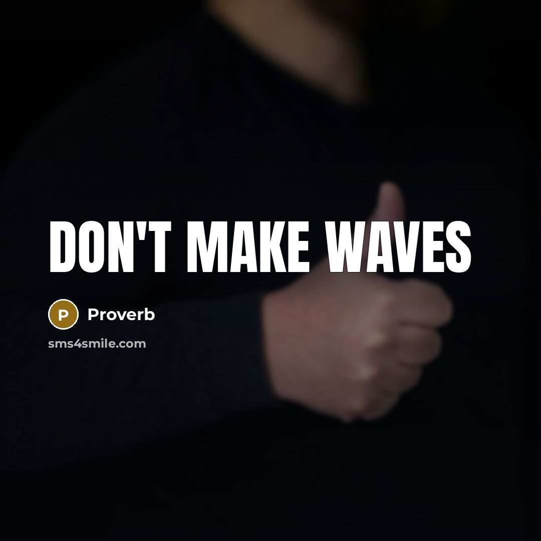 “Don't make waves” quote by Proverb