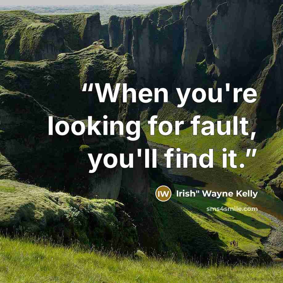 “When you're looking for fault, you'll find it.” quote by Irish" Wayne Kelly