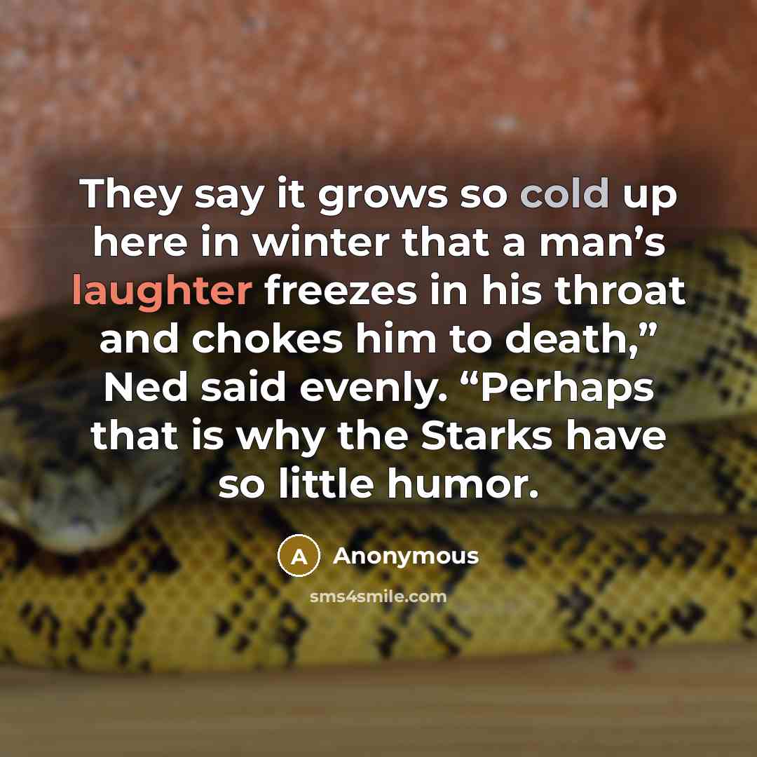 “They say it grows so cold up here in winter that a man’s laughter freezes in his throat and chokes him to death,” Ned said evenly. “Perhaps that is why the Starks have so little humor.” quote by Anonymous