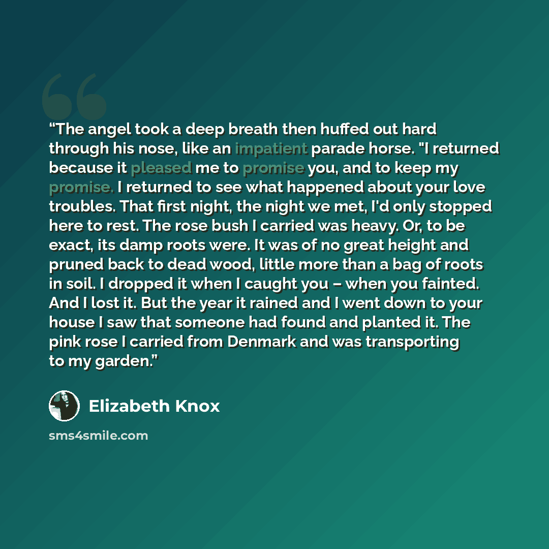 “The angel took a deep breath then huffed out hard through his nose, like an impatient parade horse. "I returned because it pleased me to promise you, and to keep my promise. I returned to see what happened about your love troubles. That first night, the night we met, I'd only stopped here to rest…” quote by Elizabeth Knox