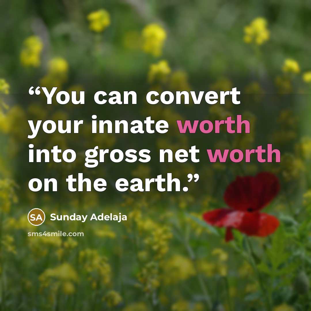 “You can convert your innate worth into gross net worth on the earth.” quote by Sunday Adelaja