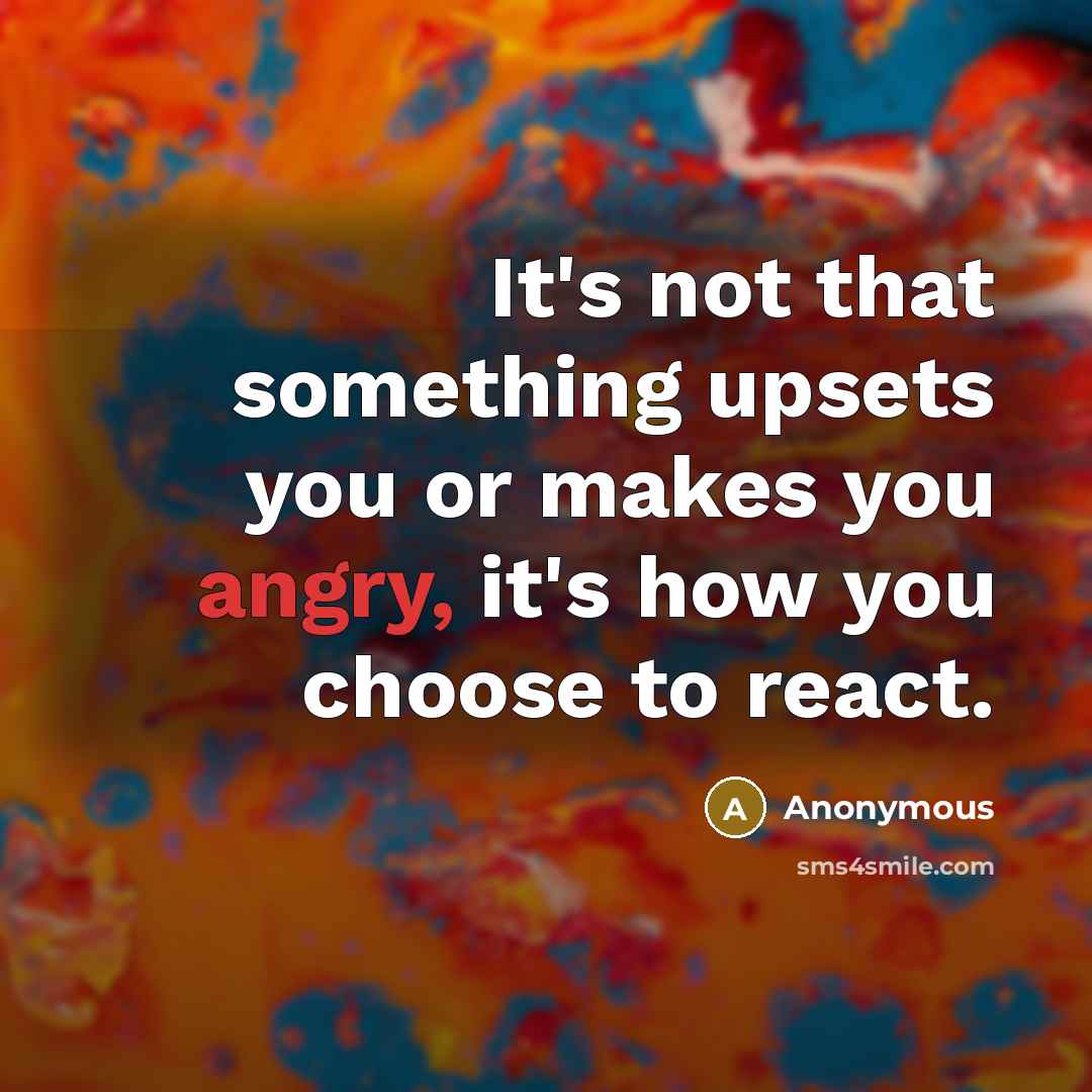 “It's not that something upsets you or makes you angry, it's how you choose to react.” quote by Anonymous